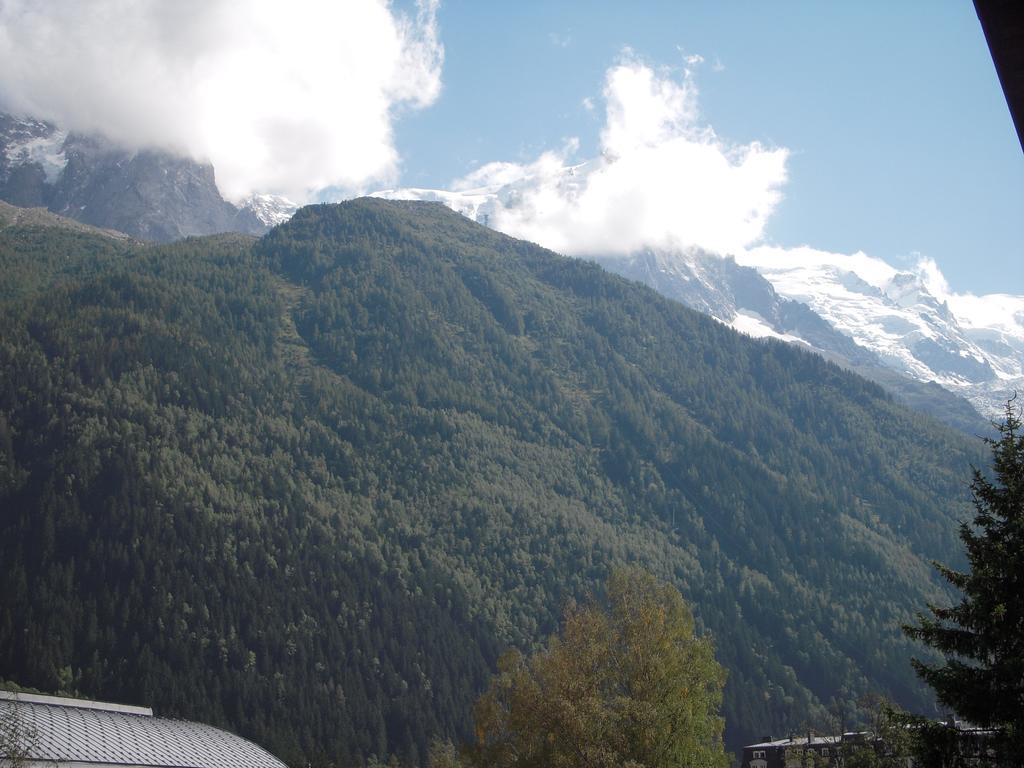 Appartement Les Jardins Du Mont Blanc Chamonix Rom bilde